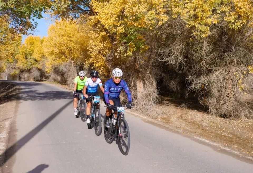 id, 朝着终点奋, TLE富士 id, 朝着终点奋, TLE富士