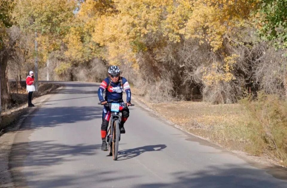 vLNKL, 奖杯 vLNKL, 奖杯