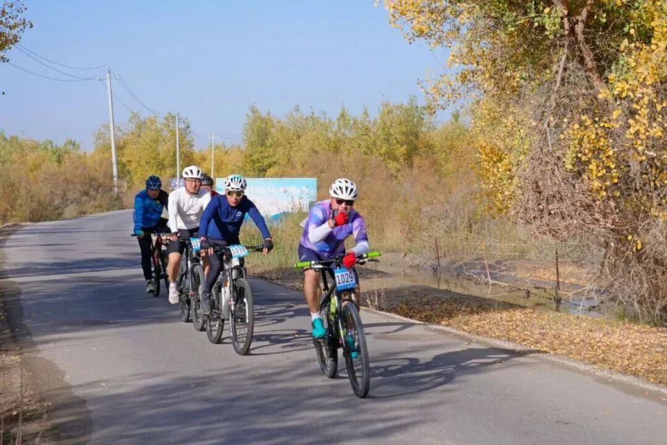 YHjD, osOLC YHjD, osOLC