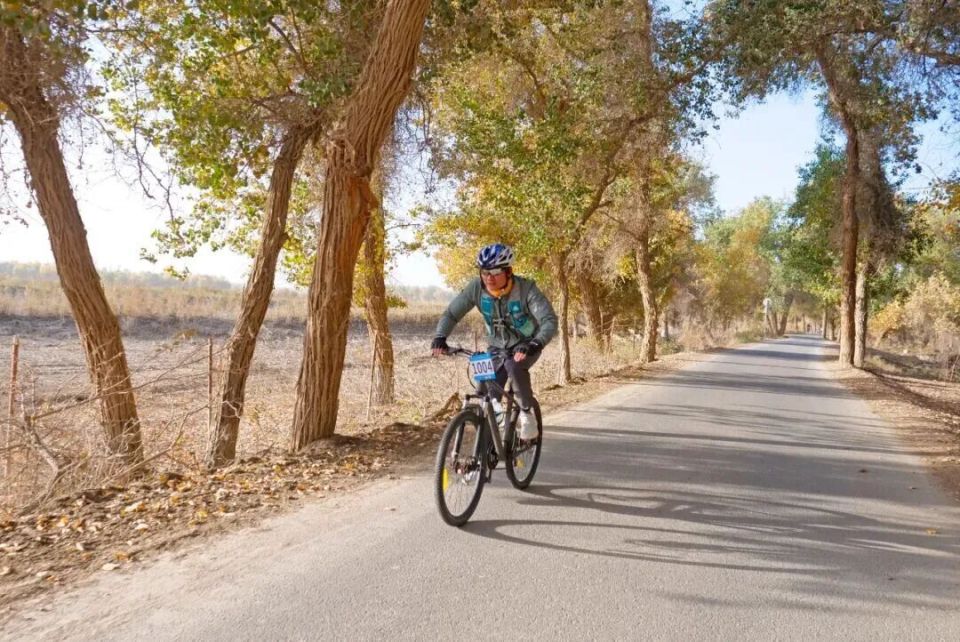 OQB, sEXjI OQB, sEXjI