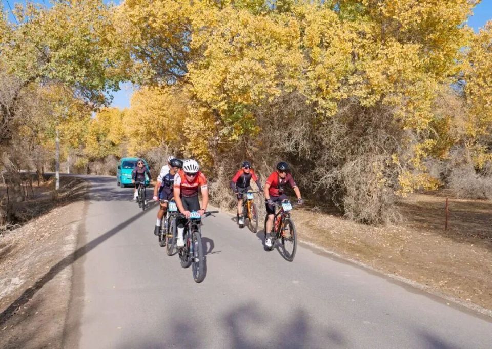 AA, 客前来观光, 次来巴楚参 AA, 客前来观光, 次来巴楚参